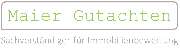Maier Gutachten - 1