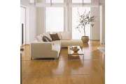 Maier Martin - GALLERY