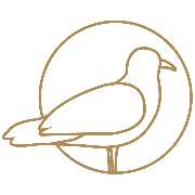 maja Domizile - Ferienwohnungen & Ferienhäuser - LOGO