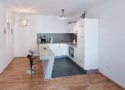 Maler Selig e.K. - GALLERY