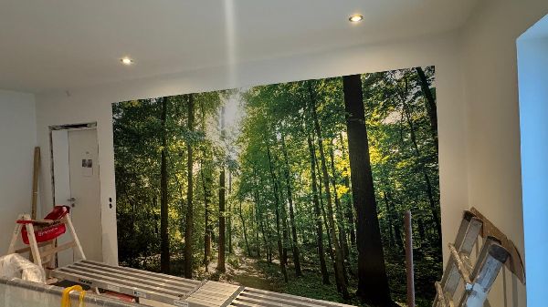 Malermeister Bogucanin GmbH - GALLERY