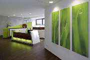 Manikas Konstantinos - GALLERY