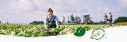 Manss GmbH Frischeservice - Manss Foodservice ist ihr starker Partner im Großhandel für Obst, Gemüse, Kräuter, Salate, Bioprodukte, Kartoffelprodukte, exotische Früchte, Feinkost, Convenience, Molkereiprodukte, Gastro-Spezial und Diverse in Hamm.