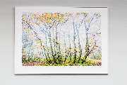 Marc Hesse FineArt - GALLERY
