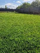 Marc Meli Galaservice - 17.jpg