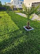 Marc Meli Galaservice - 5.jpg