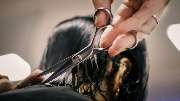 Marcel Michels - Ihr Friseur in Bonn - Friseur Bonn - Marcel Michels - Chef beim Haarschnitt