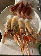 Marco Polo RISTORANTE - 6