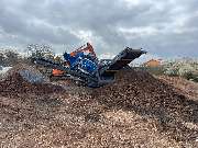 Marcus Wüstemann - GALLERY