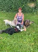 marionsalltagshunde mobile Hundetrainerin - 3
