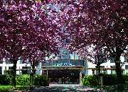 Maritim Hotel Magdeburg - Aussenansicht