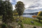 Maritim TitiseeHotel Titisee-Neustadt - Liegewiese