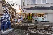 Markt Apotheke - GALLERY