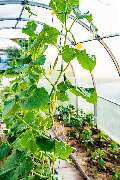 Markthaus Online - GALLERY