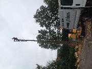 Markus Siebers Baumpflege & Baumfällungen - GALLERY