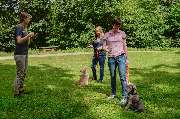 Martin Rütter Hundeschule Mainz / Bad Kreuznach - Martin Rütter Hundeschule Mainz / Bad Kreuznach zeigt eine Gruppentrainingssituation im Park. Mehrere Hunde und Halter üben Alltagssituationen unter Anleitung einer Trainerin.