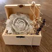 Martinas kreative Welt - GALLERY