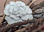 Martinas kreative Welt - GALLERY