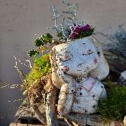 Martinas kreative Welt - GALLERY