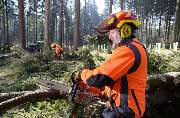 MASCHINENRING in Neustadt & Weiden - Wald