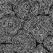 Master-Loom Teppiche - GALLERY