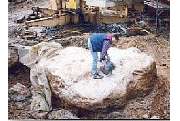 Mauerwerkstrockenlegung Ansorge GbR - GALLERY
