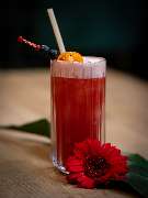 MAUI - Hawasian & Vietnamese Restaurant | München Ludwigpalais - Fruchtiger Cocktail mit Orangenscheibe und Cocktailkirsche, serviert im hohen Glas mit Strohhalm – dekoriert mit einer roten Blüte.

Details: