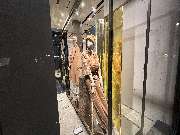 Max Mara - GALLERY