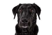 MAX & ROSA - 19