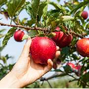 May-Finanz - GALLERY