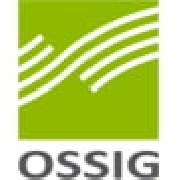 mbH Ossig Steuerberatungsgesellschaft - LOGO
