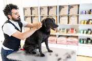 McGroomer Hundefriseure - 21