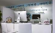 McGroomer Hundefriseure - 4