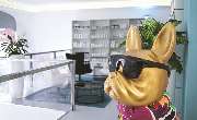 McGroomer Hundefriseure - 7