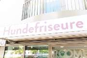 McGroomer Hundefriseure - McGroomer Hundefriseure