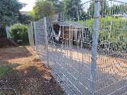 MD Bauservice - nsw hund.jpg