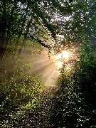 Mediation-Lichtblick - 2