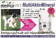 medicaVET  Inh. Nina Radünz - GALLERY