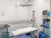 Medivet Tierarztpraxis - GALLERY
