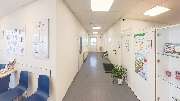 Medivet Tierarztpraxis - GALLERY