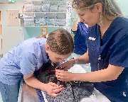 Medivet Tierarztpraxis Teltow - GALLERY