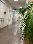 Medizinisches Versorgungszentrum Schwalm-Eder - Praxis für Innere Medizin - Diabetologie / Endokrinologie - GALLERY