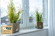 MEER & STRAND - FERIENHAUSAGENTUR OSTFRIESLAND - 206