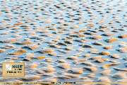 MEER & STRAND - FERIENHAUSAGENTUR OSTFRIESLAND - 318
