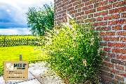 MEER & STRAND - FERIENHAUSAGENTUR OSTFRIESLAND - 32
