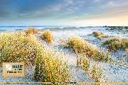MEER & STRAND - FERIENHAUSAGENTUR OSTFRIESLAND - 326