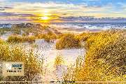 MEER & STRAND - FERIENHAUSAGENTUR OSTFRIESLAND - 331