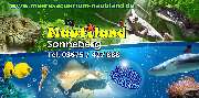 Meeresaquarium-Exotarium Nautiland - GALLERY