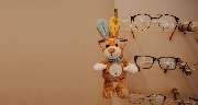 Meierin Optik - GALLERY