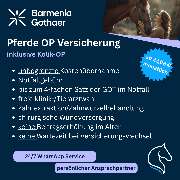 Mein Pferdeversicherer - GALLERY